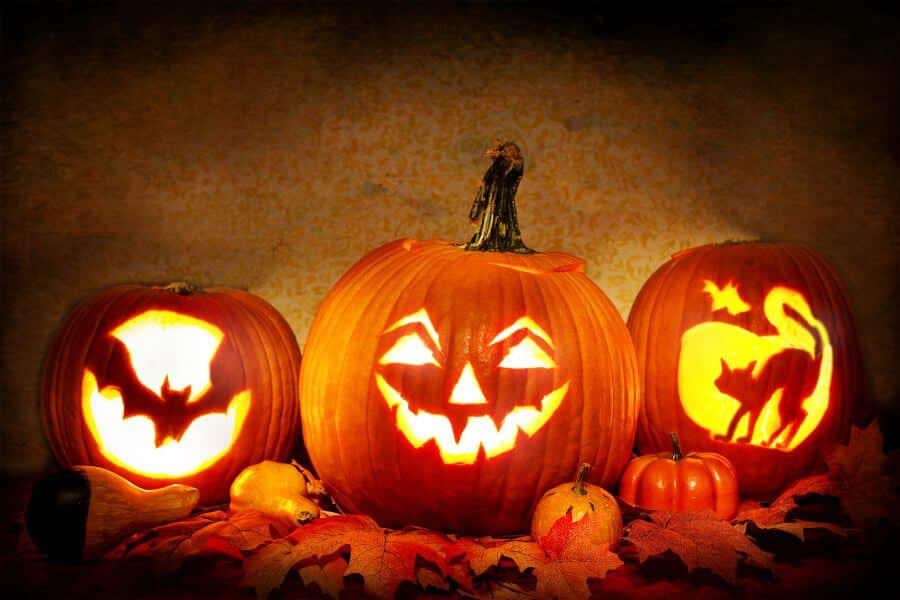 Halloween in Denver